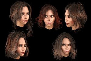 3D model set hairstyle 5 types