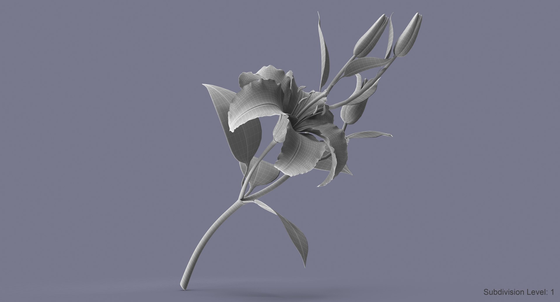 3d model lily petal leaf https://p.turbosquid.com/ts-thumb/P4/YBnhBW/EcMwlVFz/lily2_w/jpg/1488297887/1920x1080/fit_q87/bd3858e73cc319139cab4538c032c3a4c7e94336/lily2_w.jpg