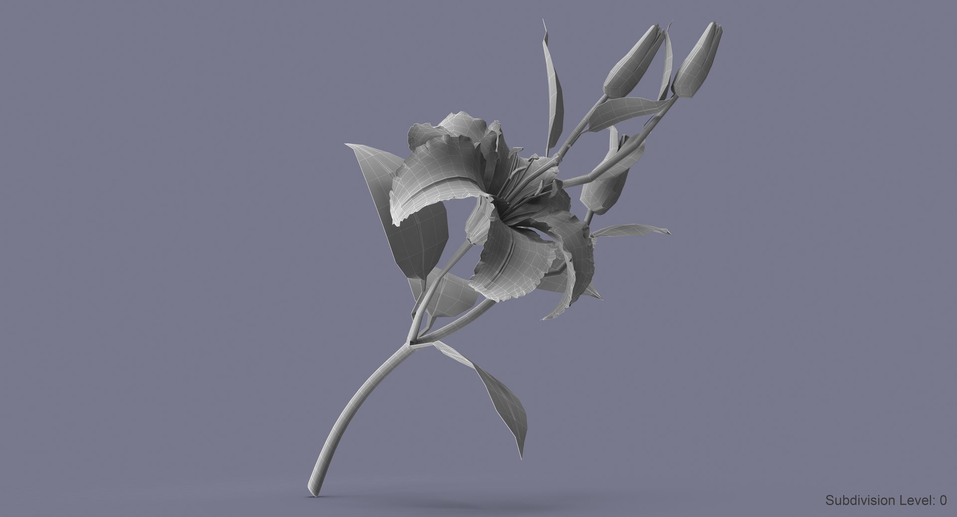 3d model lily petal leaf https://p.turbosquid.com/ts-thumb/P4/YBnhBW/aKbpPqLL/lily2_w2/jpg/1488297887/1920x1080/fit_q87/8163e3ae59e3eeab69d8bad48216ad8a9cd6c3cc/lily2_w2.jpg