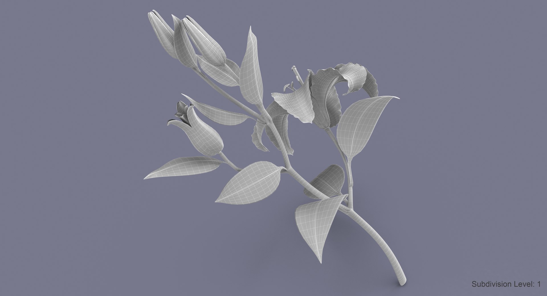 3d model lily petal leaf https://p.turbosquid.com/ts-thumb/P4/YBnhBW/r67RYpK9/lily2_w3/jpg/1488297887/1920x1080/fit_q87/d8b85436789c385e310b8cb17b3b1988dfbbff3f/lily2_w3.jpg