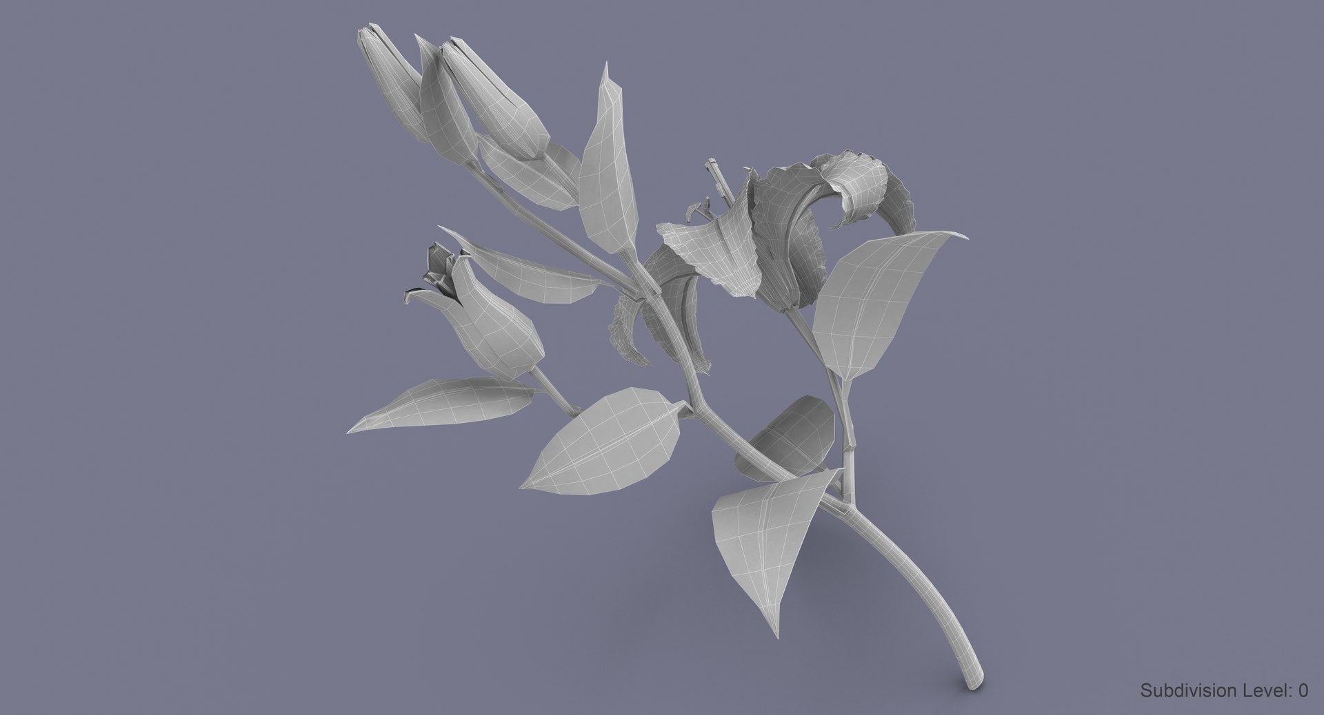 3d model lily petal leaf https://p.turbosquid.com/ts-thumb/P4/YBnhBW/wqiVPwD9/lily2_w4/jpg/1488297887/1920x1080/fit_q87/55b20554416ce6654c615b586ded0a8cbe34094a/lily2_w4.jpg