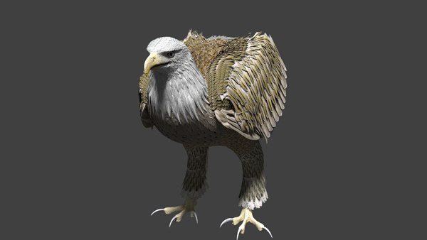 3D model white american bald eagle