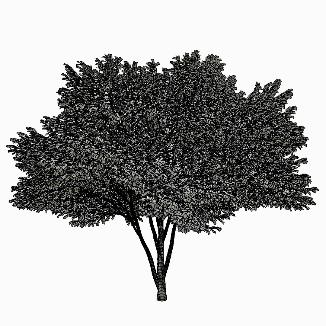 tree environment 3d model https://p.turbosquid.com/ts-thumb/P4/dSXtDD/1TVEhmqy/5/jpg/1469311655/1920x1080/fit_q87/240ca45c50ac36fe77a2d73d3b1e46888126720e/5.jpg