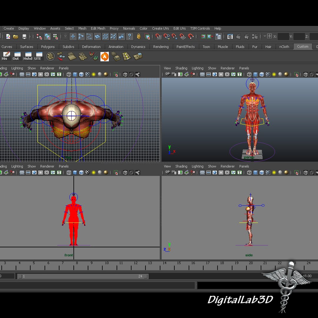 rigged - human female 3d ma https://p.turbosquid.com/ts-thumb/P4/oPtME6/TD2TISXP/femaleanatrigged_1/jpg/1280812552/1920x1080/fit_q87/511c203d749ba0976f270b5af976344c4a52aef0/femaleanatrigged_1.jpg
