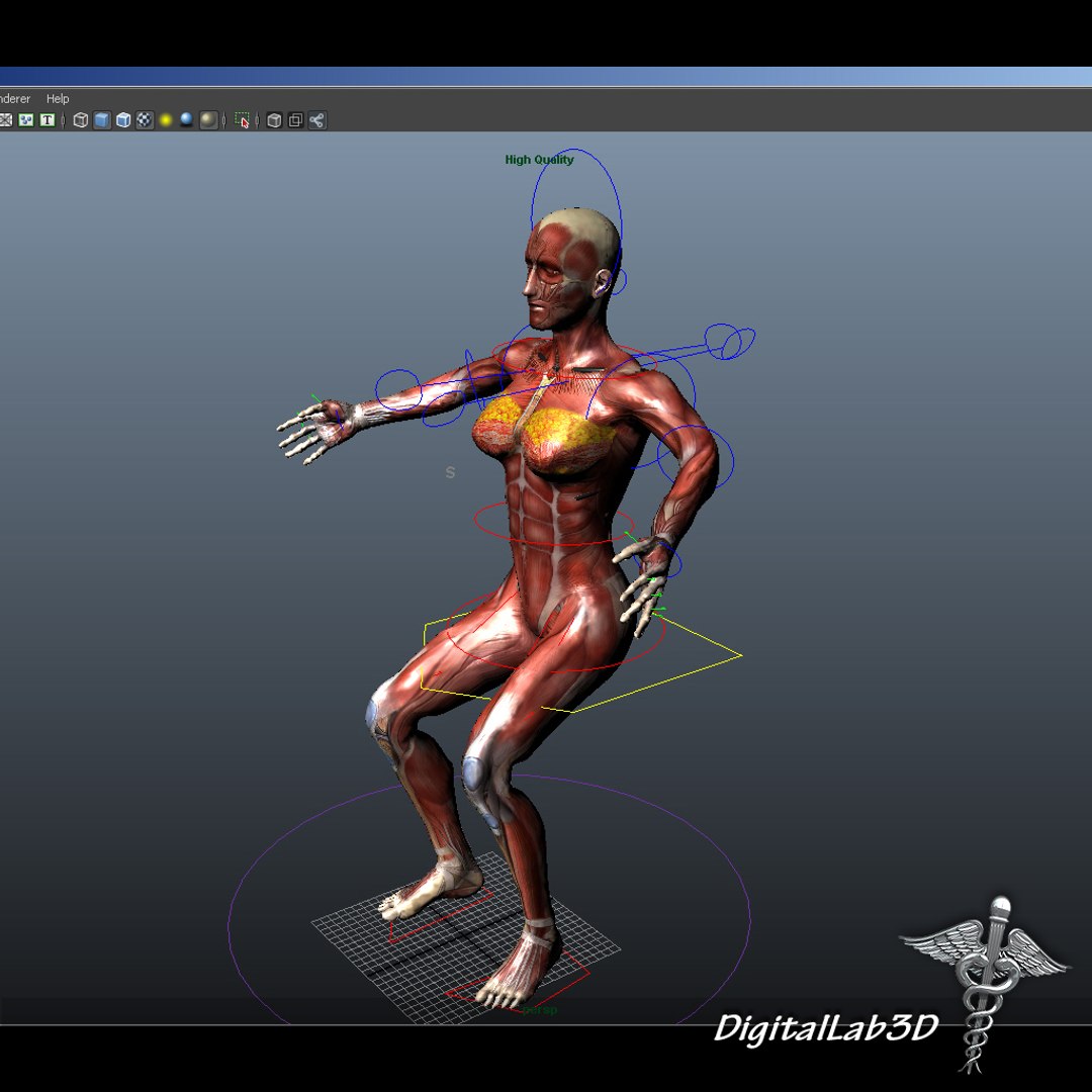 rigged - human female 3d ma https://p.turbosquid.com/ts-thumb/P4/oPtME6/p2BC11Em/femaleanatrigged_4/jpg/1280812552/1920x1080/fit_q87/f13bc4c630e418fa2bfe325d0e6c17be2b5f69c0/femaleanatrigged_4.jpg
