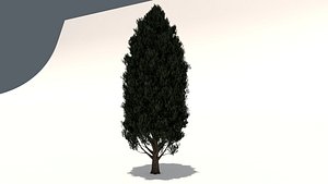 cypress oak tree model