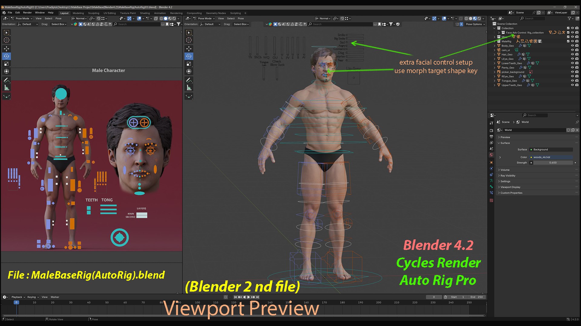 3D Male Base Rig https://p.turbosquid.com/ts-thumb/P4/sJGLBi/Zm/shot23/jpg/1782112029/1920x1080/fit_q87/4f06b6e6eb20df118a27dc2378833551bb4232d8/shot23.jpg