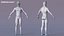 Plataforma base masculina