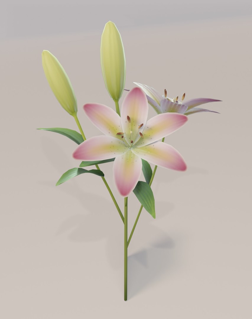 3D easter basket https://p.turbosquid.com/ts-thumb/P4/v575D5/m4ayZKuN/5/jpg/1580485599/1920x1080/fit_q87/2dc2bfedaeaa5323f986d1b547d9997cc0c6126d/5.jpg