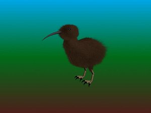 Kiwi