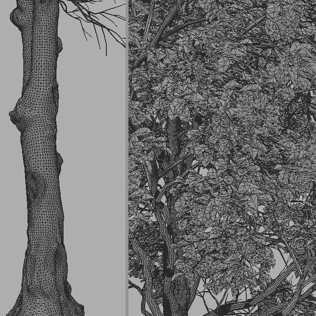 Set of Populus tremula or Eurasian aspen Trees 3D model - TurboSquid ...