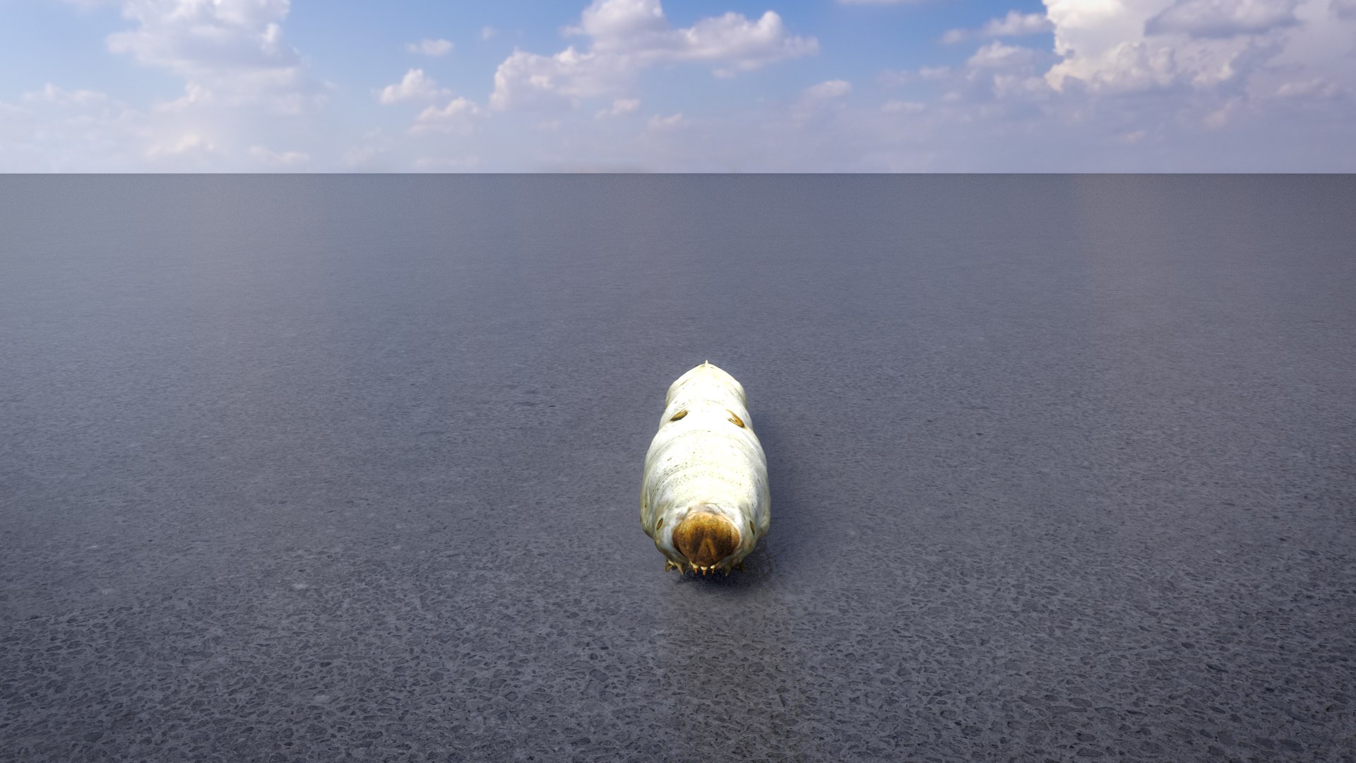 Silkworm 3D model https://p.turbosquid.com/ts-thumb/P5/EYZ8iV/2T/silkworm_cmp_v001_1920_nologo_0001/jpg/1725268117/1920x1080/fit_q87/d36cb59879beb1d973125c8024f60a05b0b7a0db/silkworm_cmp_v001_1920_nologo_0001.jpg