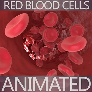 Blood Cells