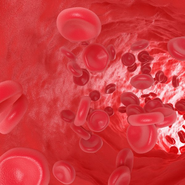 3D blood cells model - TurboSquid 1164381