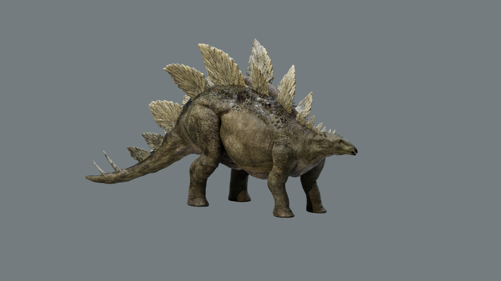 Stegosaurus Rigged 3D 3D Model - TurboSquid 2442946