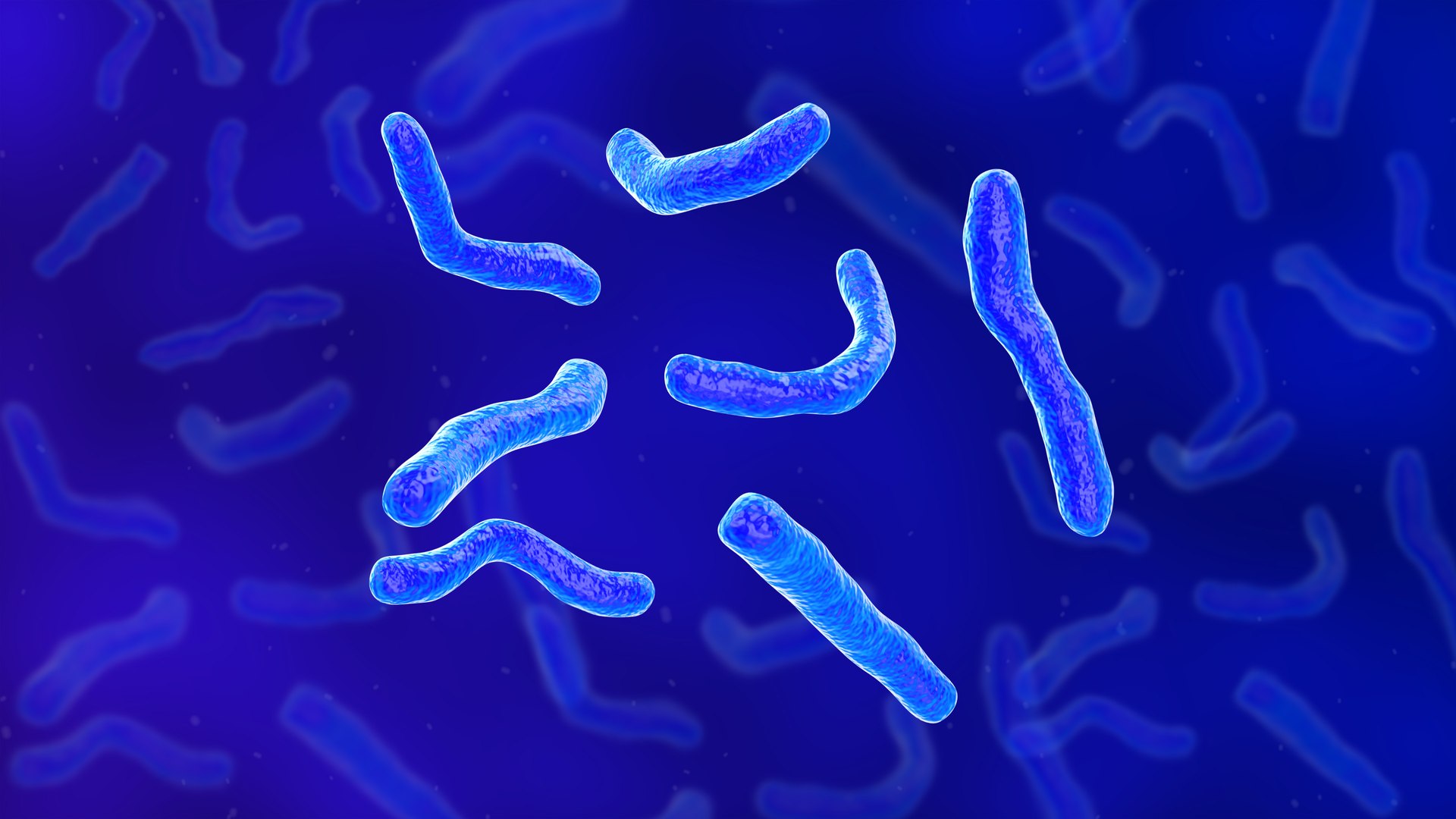 escherichia coli 10^5 в зеве