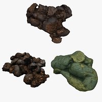 Feces Poop Collection 01
