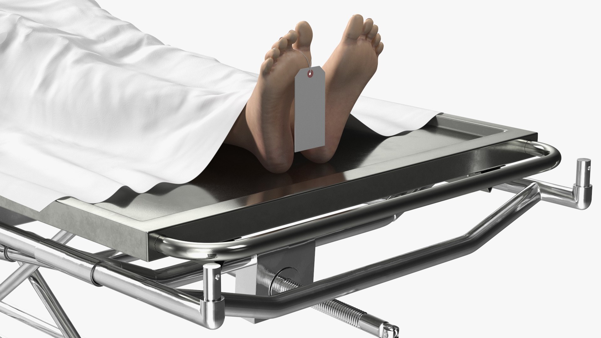 3D Morgue Gurney with Female Corpse and Tray - TurboSquid 2015824