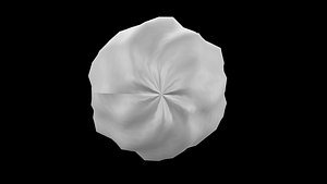 aNeuurospher-Cell-Solid 3D model