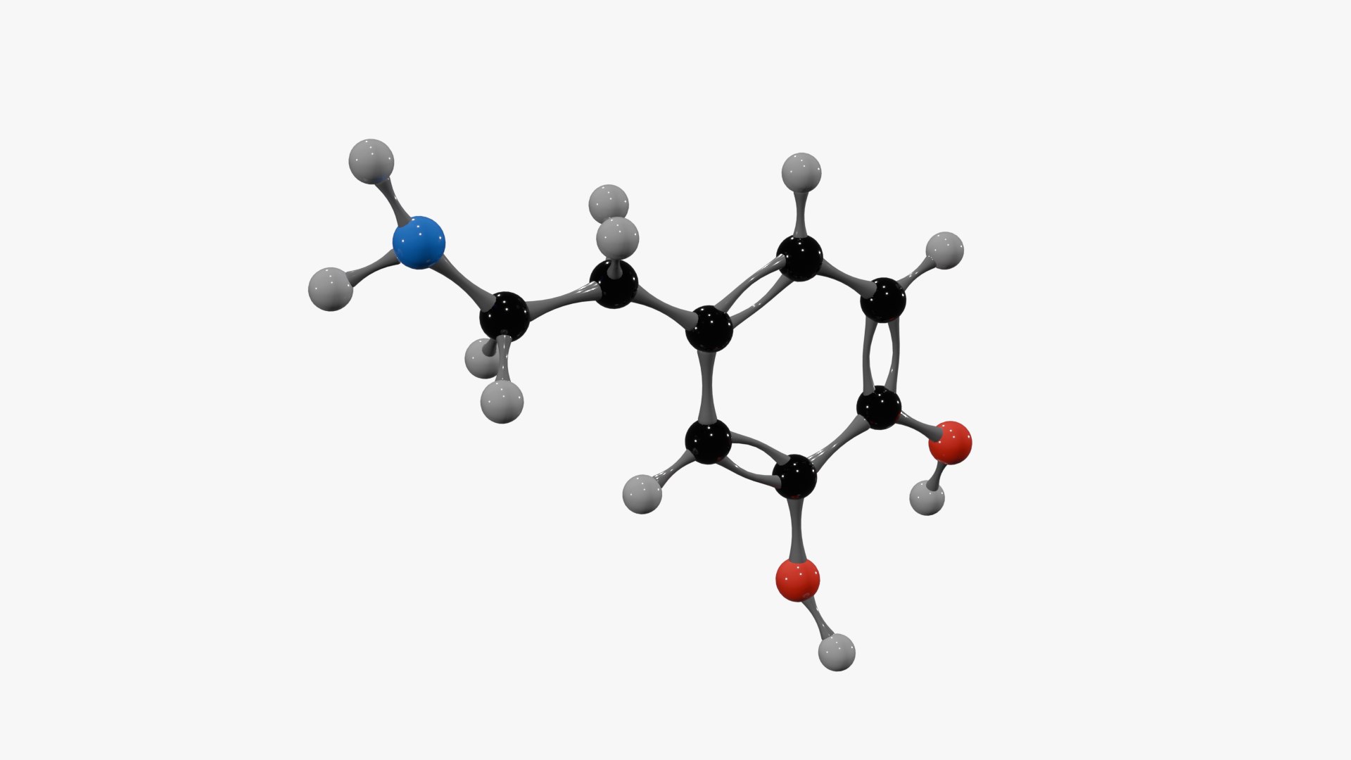 3D Dopamine Molecule https://p.turbosquid.com/ts-thumb/P6/JgUm3z/R5/04/png/1755663802/1920x1080/fit_q87/6f2d33725d7c16448720fa37f675ee91c9f2f988/04.jpg