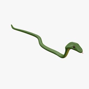 Snake