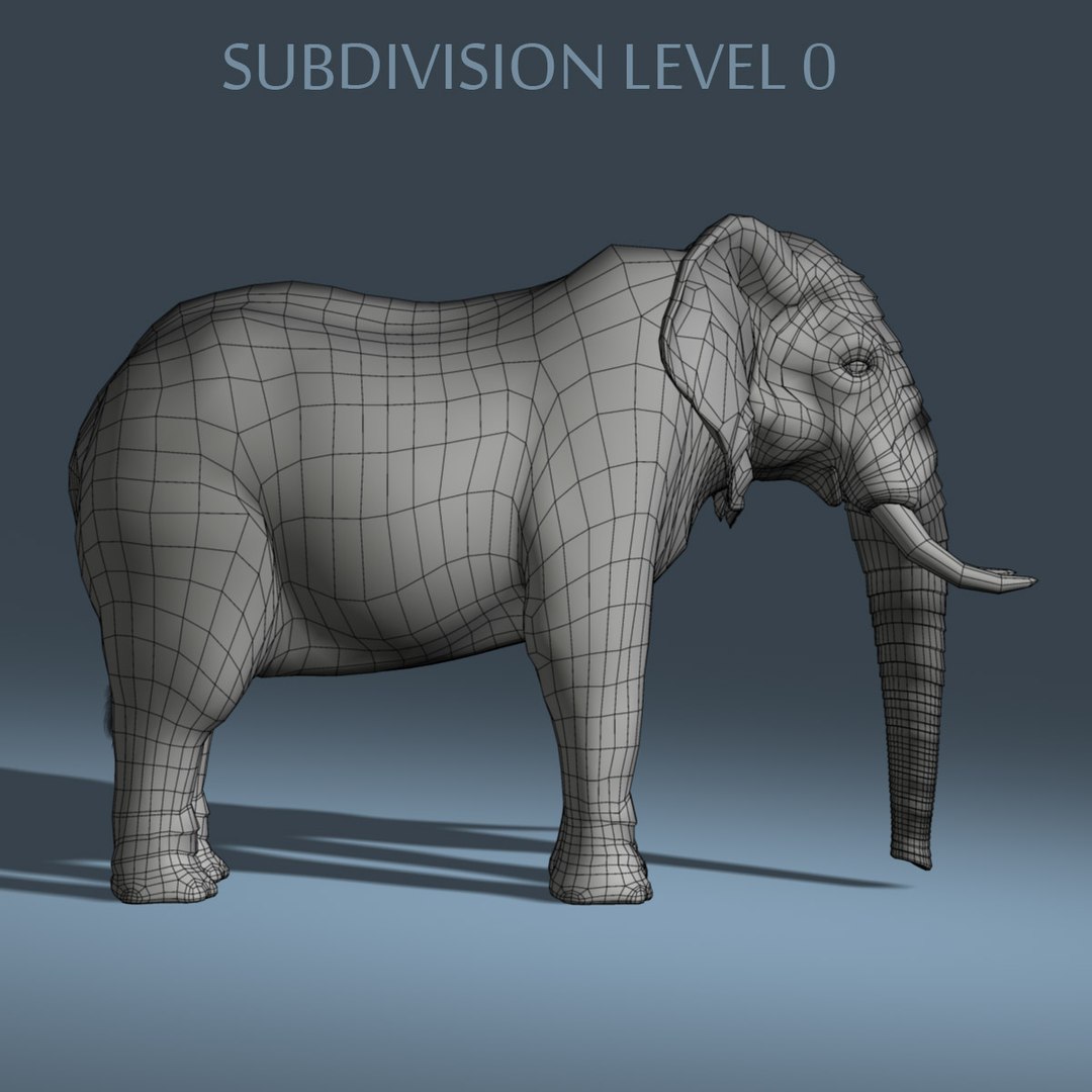Photorealistic African Elephant Animation Ma