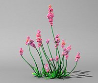 Cartoon Flower