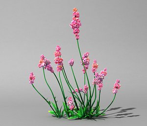 Cartoon Flower