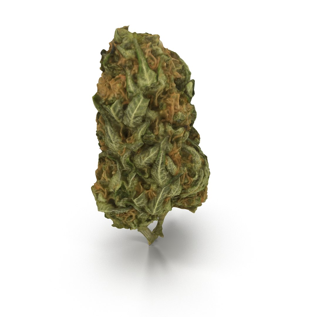 3d cannabis bud https://p.turbosquid.com/ts-thumb/P6/ksYZ84/3Ih4oypQ/weed2_r0004/jpg/1444781195/1920x1080/fit_q87/68526f65bf9eacfb9f90dbb17a5755a9e52985b0/weed2_r0004.jpg