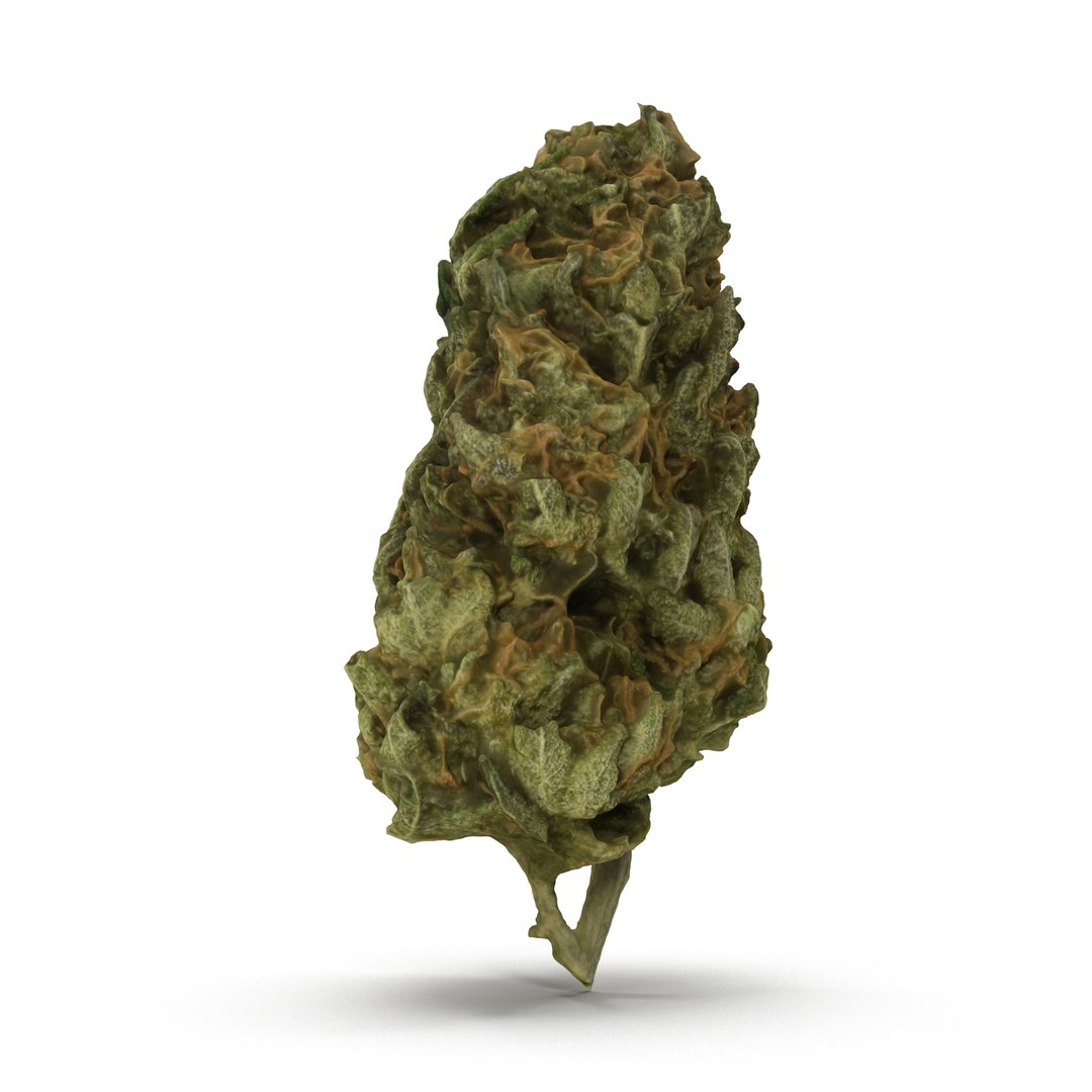 3d cannabis bud https://p.turbosquid.com/ts-thumb/P6/ksYZ84/6O5JjE93/weed2_r0002/jpg/1444781194/1920x1080/fit_q87/377047850ff0237f4220f106455ee8d1aabbd07f/weed2_r0002.jpg