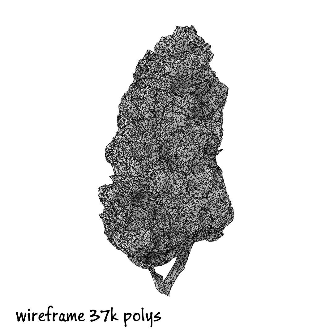 3d cannabis bud https://p.turbosquid.com/ts-thumb/P6/ksYZ84/DmAcFgsO/weed2r1w37/jpg/1444781195/1920x1080/fit_q87/846fc98dbd0f9a2c602aaa1f3f477f276c802ccf/weed2r1w37.jpg