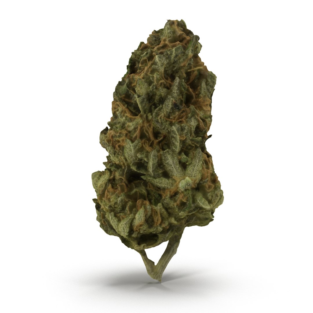 3d cannabis bud https://p.turbosquid.com/ts-thumb/P6/ksYZ84/Rl4h9kVa/weed2_r0006/jpg/1444781195/1920x1080/fit_q87/780d74fda89565732ca9fd54c5676d7baaa7ded4/weed2_r0006.jpg
