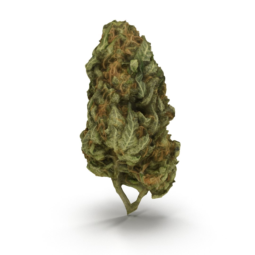 3d cannabis bud https://p.turbosquid.com/ts-thumb/P6/ksYZ84/gHEZevRQ/weed2_r0003/jpg/1444781194/1920x1080/fit_q87/6013178218ebc88f24d5cbacedc95a3951a865d2/weed2_r0003.jpg
