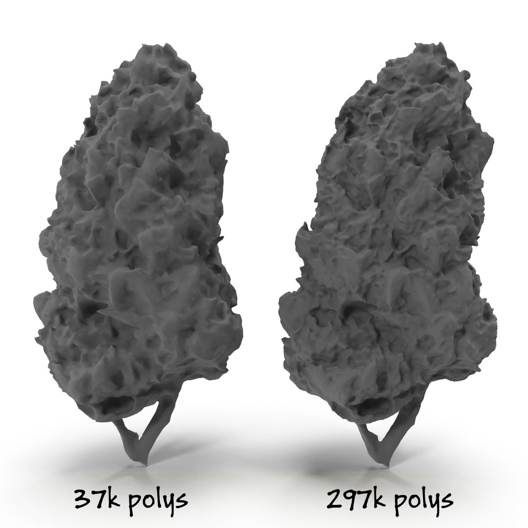 3d cannabis bud https://p.turbosquid.com/ts-thumb/P6/ksYZ84/pSQgasCD/weed2e2n/jpg/1444781195/1920x1080/fit_q87/2067923ef0748cb79e48597e48896d3e2b0994b3/weed2e2n.jpg