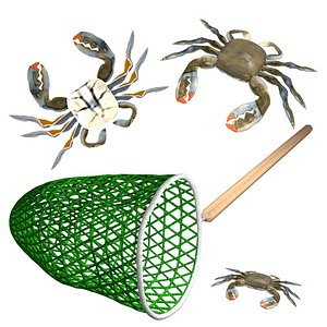 3d crab net