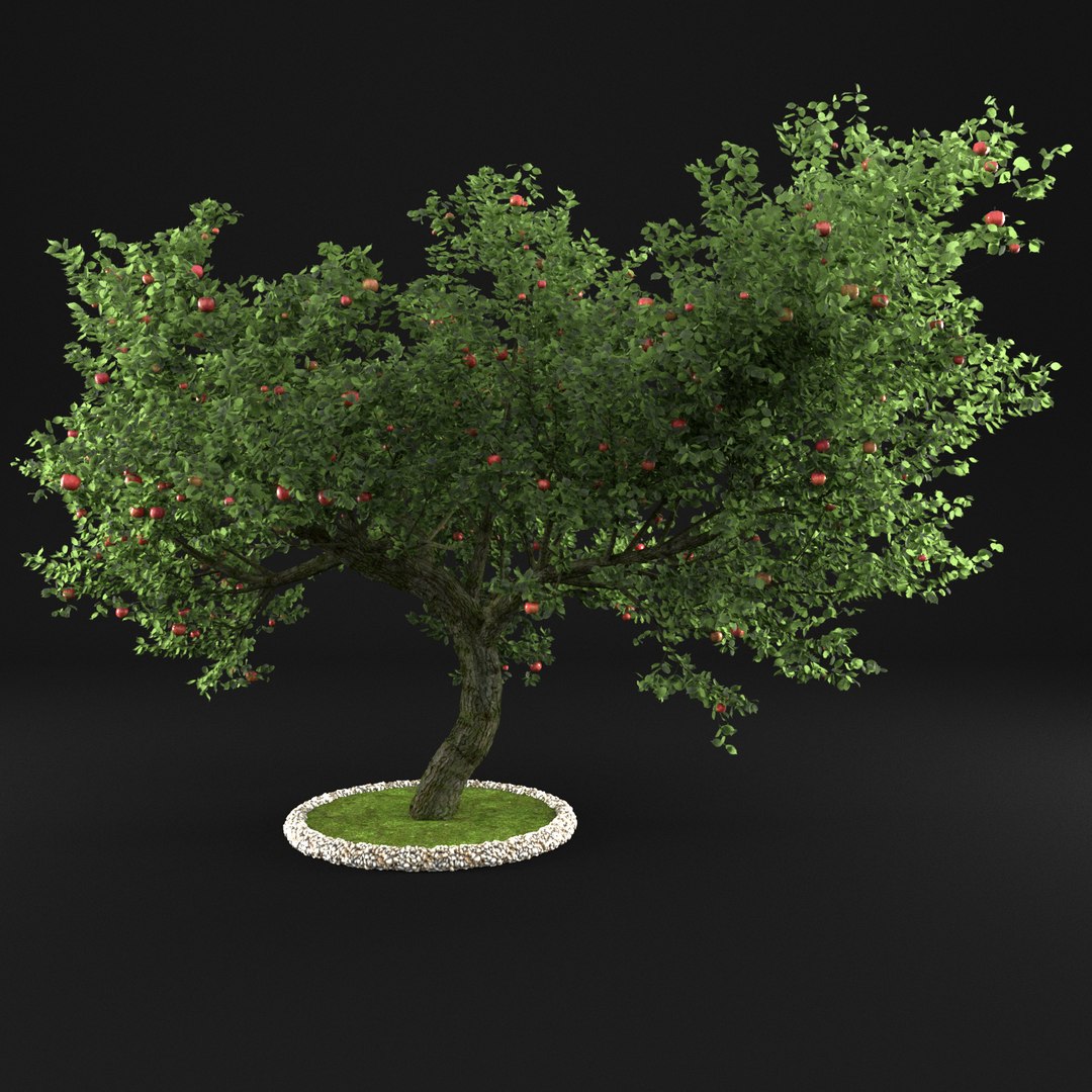 Apple Tree 3D Model - TurboSquid 1159242