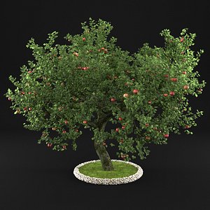 apple tree 3D model