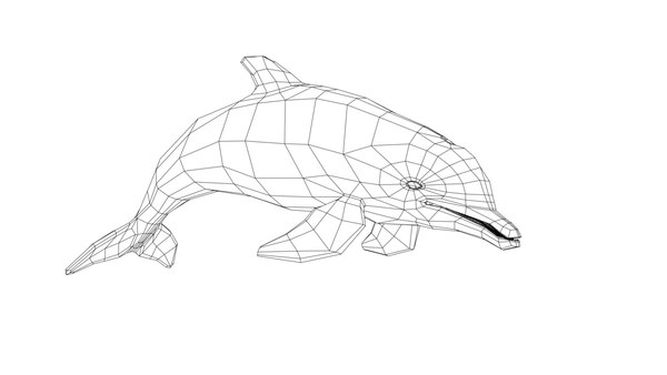 dolphins 3d obj