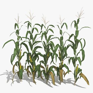 Corn Stalks Set