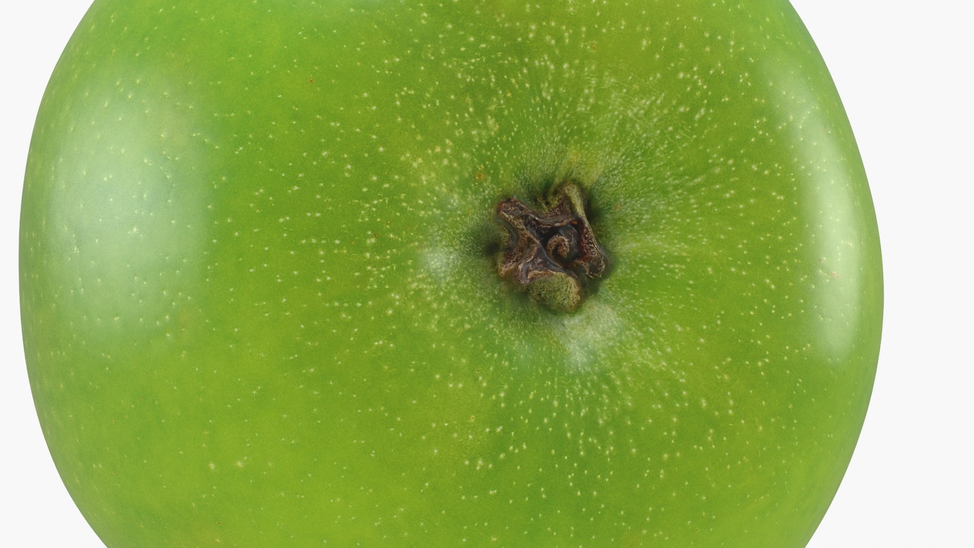 Green Apple v2 3D https://p.turbosquid.com/ts-thumb/P7/2VfA10/1p/greenapplev2_b0024/jpg/1681485024/1920x1080/fit_q87/e9ae3005d7e56bd816fc964423654fc18868548a/greenapplev2_b0024.jpg