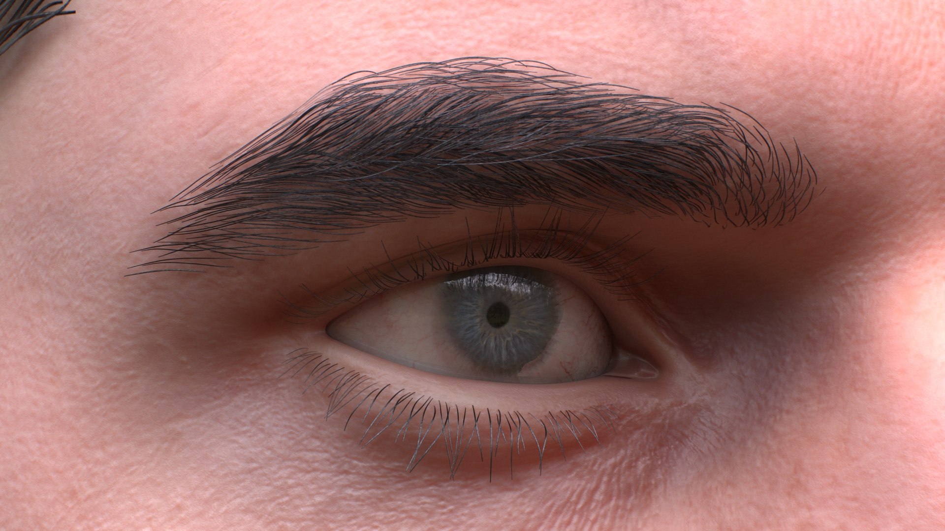 3D Mans and Womans Heads Collection https://p.turbosquid.com/ts-thumb/P7/3Aw0sH/Em/mans_1_head_c6/jpg/1651063511/1920x1080/fit_q87/137fc8ae79c1d3960d490320a67fcdc1ebd085e9/mans_1_head_c6.jpg