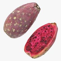 Prickly Pear - Cactus Fruit