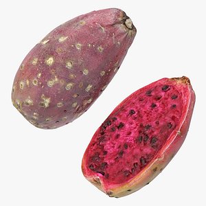 Prickly Pear - Cactus Fruit