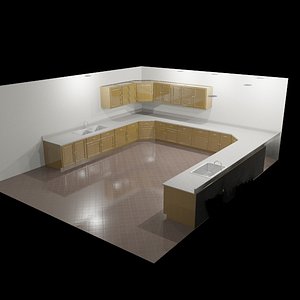 cabinets_counters_oak_MAX9