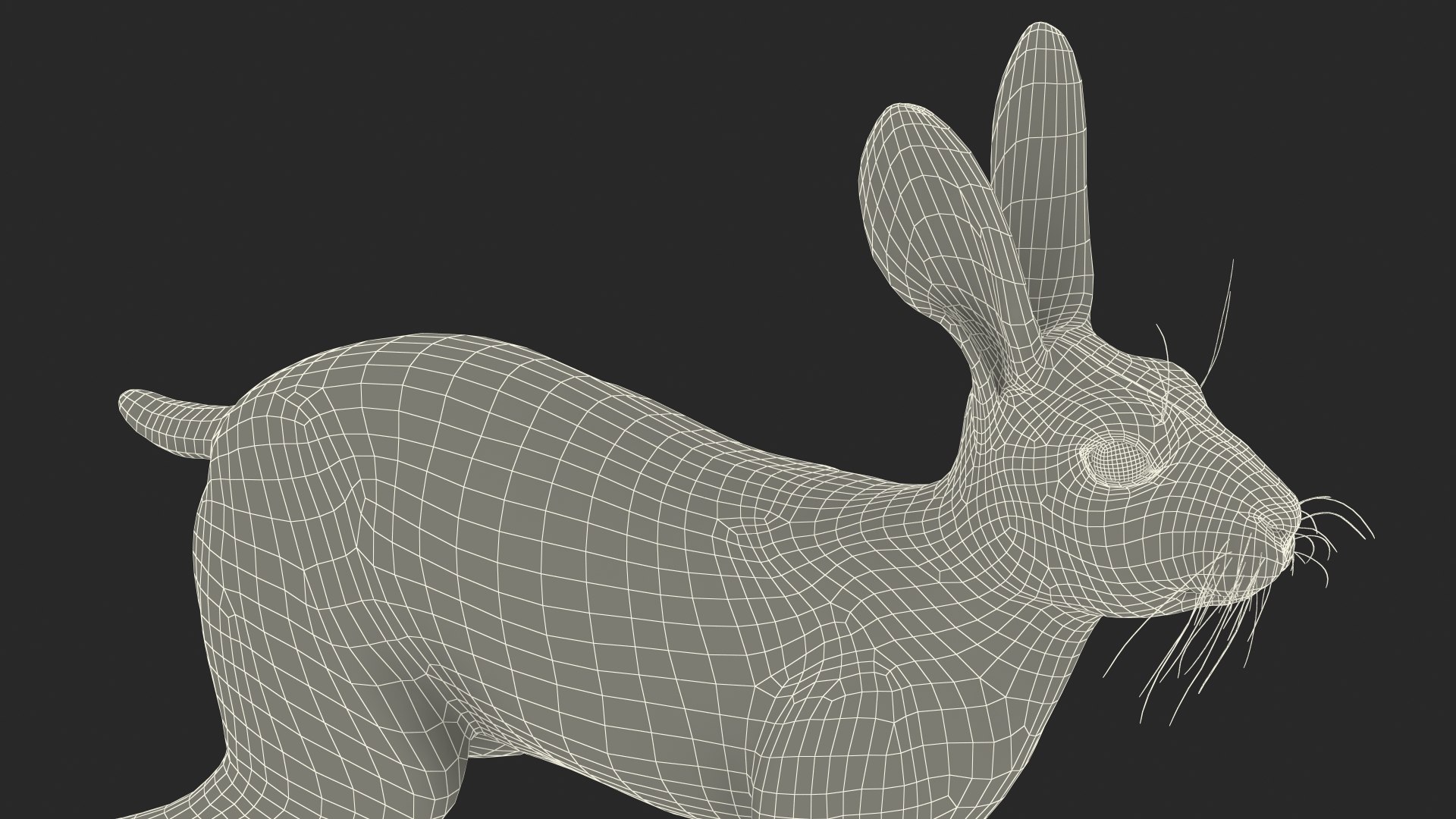 Winter Jackrabbit Rigged 3D - TurboSquid 2130161
