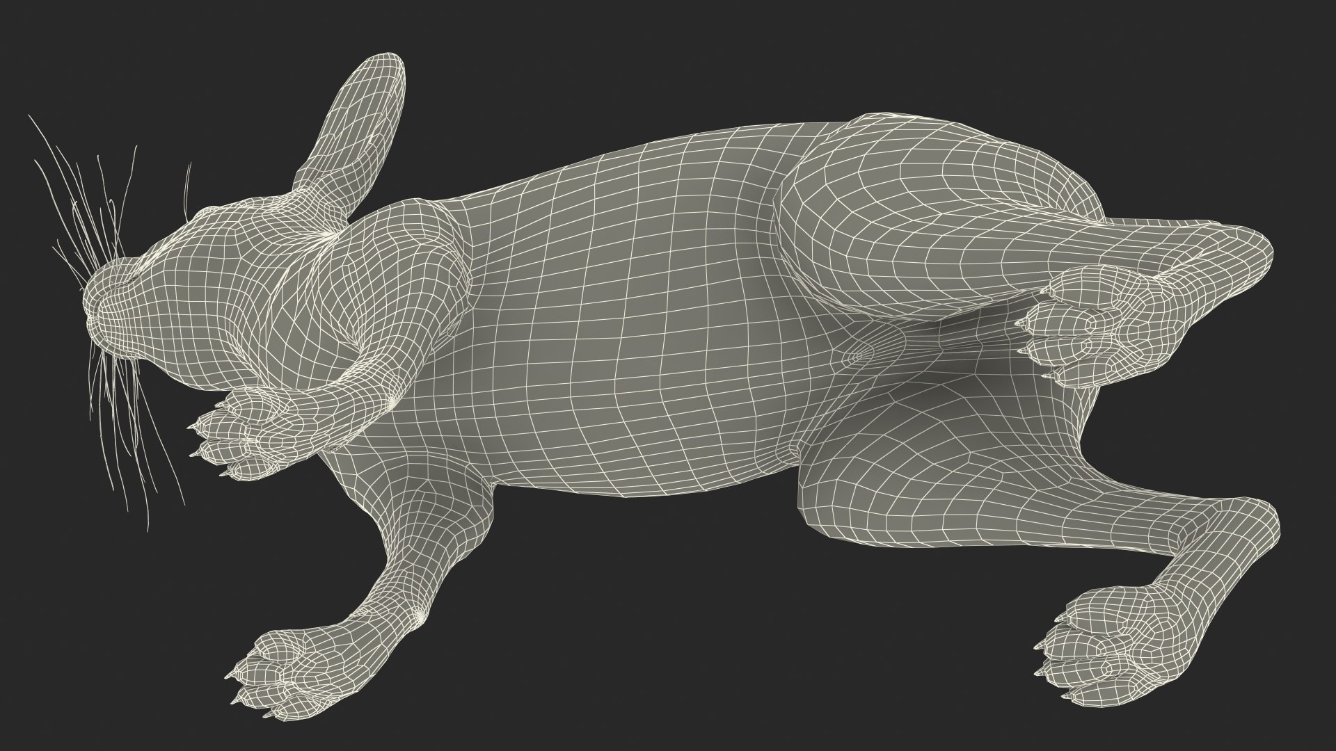 Winter Jackrabbit Rigged 3D - TurboSquid 2130161