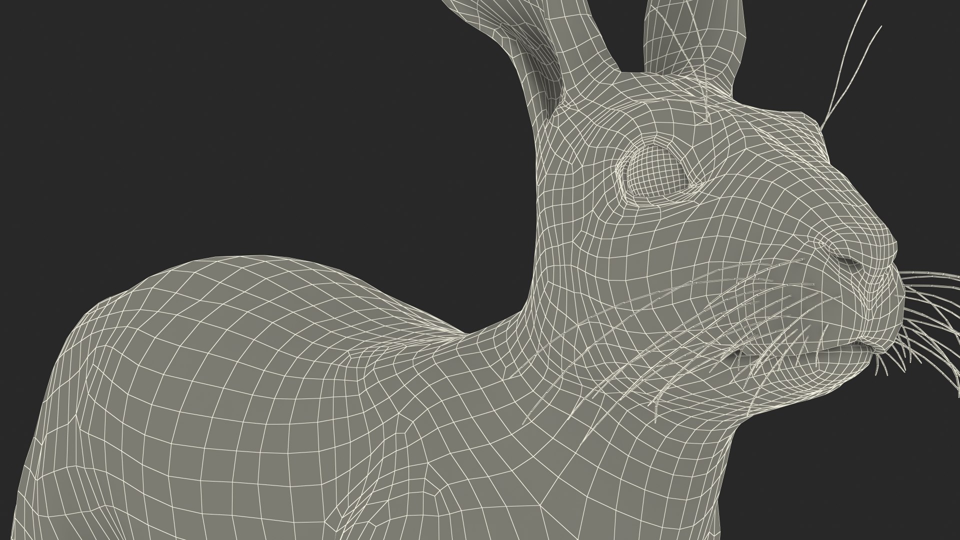 Winter Jackrabbit Rigged 3D - TurboSquid 2130161