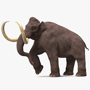 Mammoth Adult Rigged for Modo 3D model