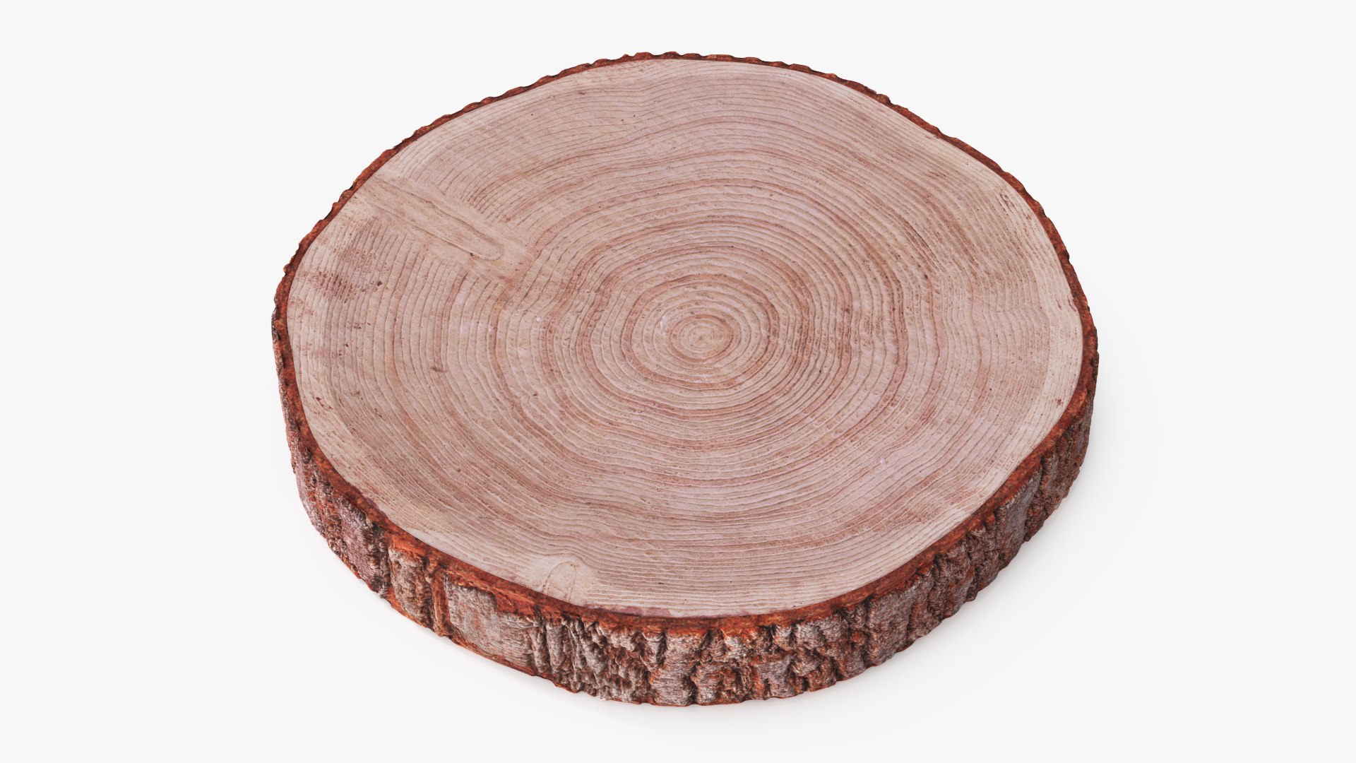 3D Wooden Log Slice Round Brown model https://p.turbosquid.com/ts-thumb/P7/Rm9siK/ri/wooden_log_slice_round_brown_004/jpg/1765927787/1920x1080/fit_q87/7ce558fab0b7b6de61d137bf2db56218bd214d5d/wooden_log_slice_round_brown_004.jpg
