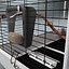 Animal Cages Collection V1